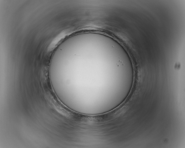 X0000112861355200909041543