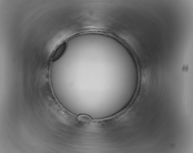 X0000112861357200909041543
