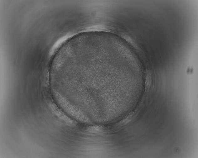 X0000112861358200909041543