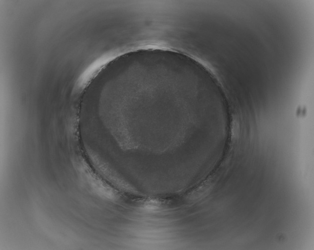X0000112861359200909041543