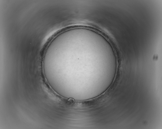 X0000112861360200909041543
