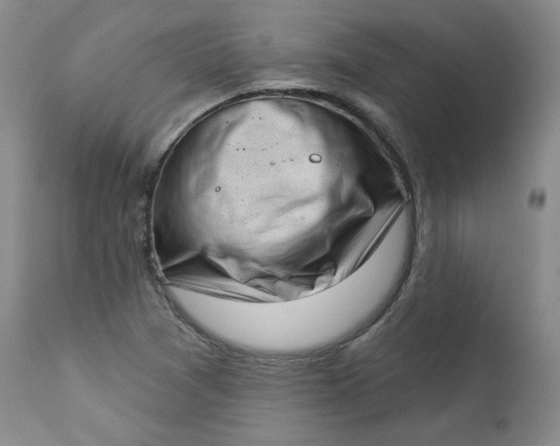 X0000112861361200909041543