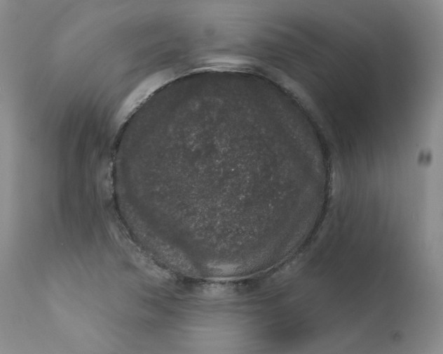 X0000112861362200909041543