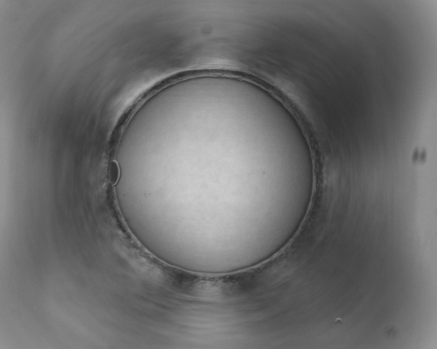 X0000112861364200909041543