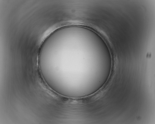 X0000112861365200909041543