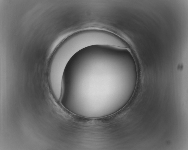 X0000112861368200909041543