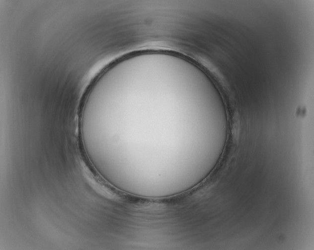 X0000112861372200909041543