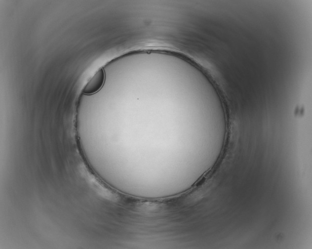 X0000112861374200909041543