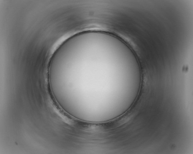 X0000112861375200909041543