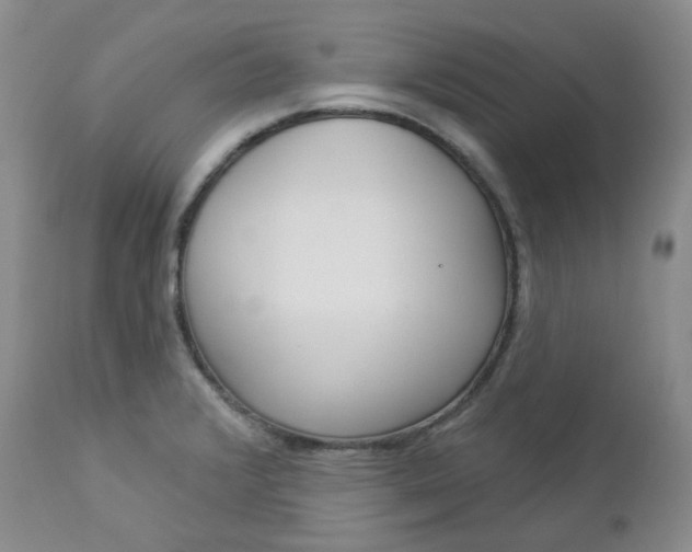 X0000112861376200909041543