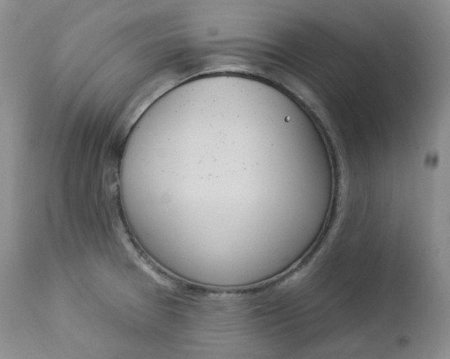 X0000112861377200909041543