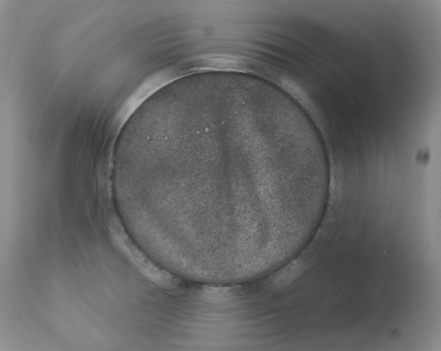 X0000112861378200909041543