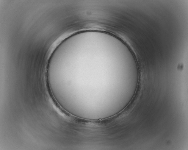 X0000112861379200909041543