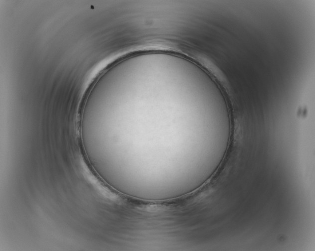 X0000112861380200909041543