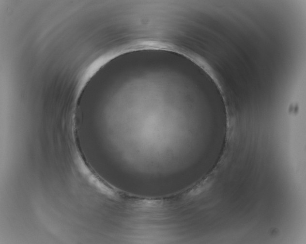 X0000112861381200909041543