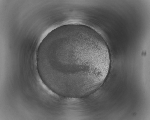 X0000112861382200909041543