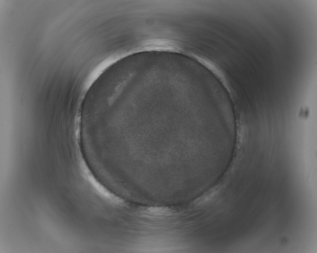 X0000112861383200909041543