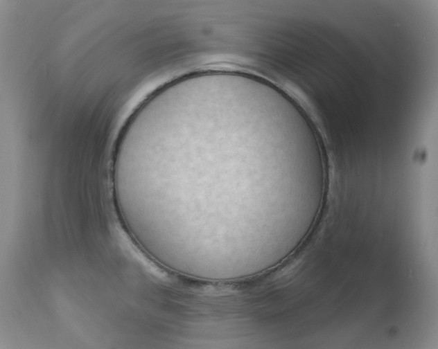 X0000112861384200909041543