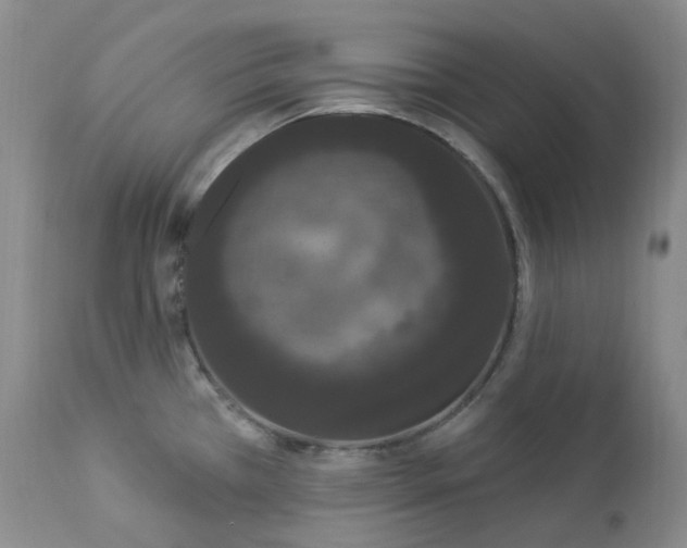 X0000112861385200909041543