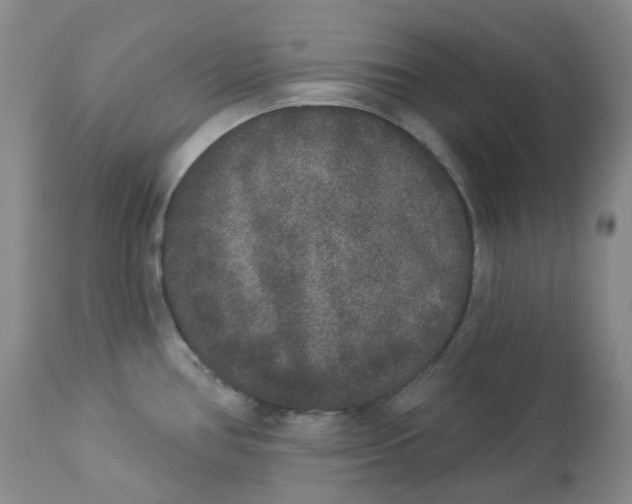 X0000112861386200909041543