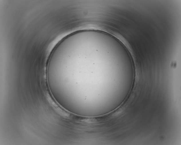 X0000112861388200909041543