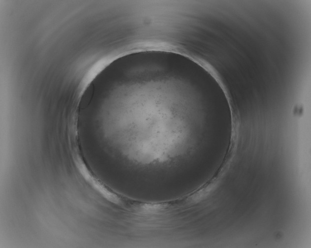 X0000112861389200909041543