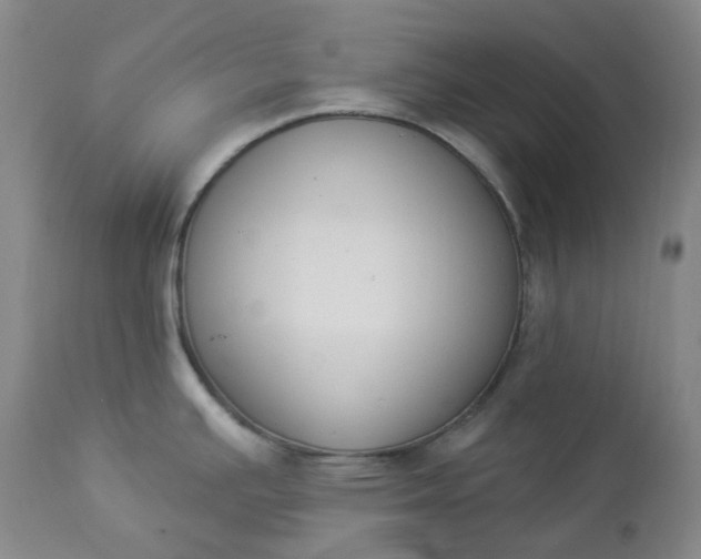 X0000112861391200909041543