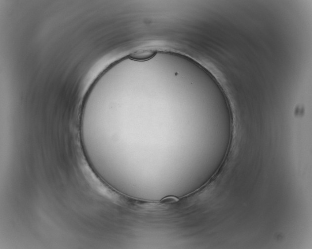 X0000112861392200909041543