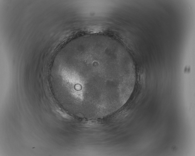 X0000112861393200909041542