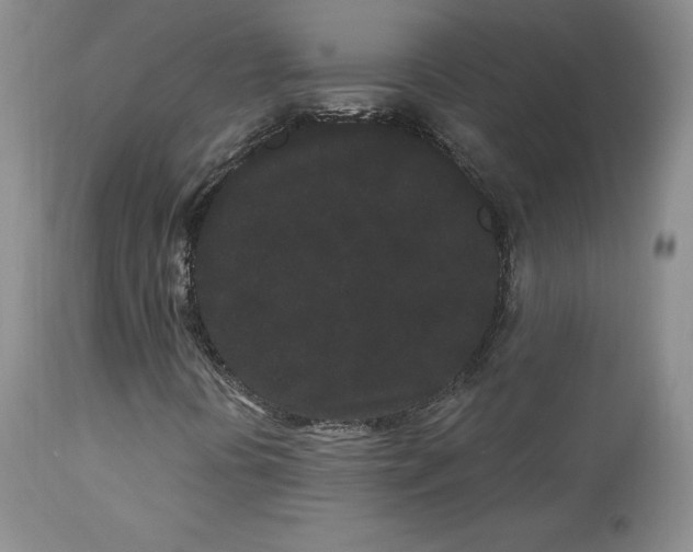 X0000112861394200909041542
