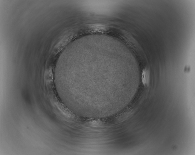 X0000112861395200909041542