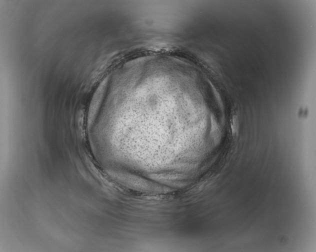 X0000112861396200909041542