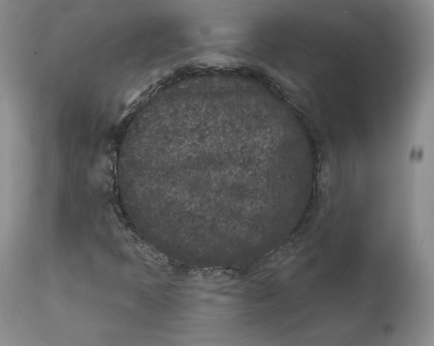 X0000112861397200909041542