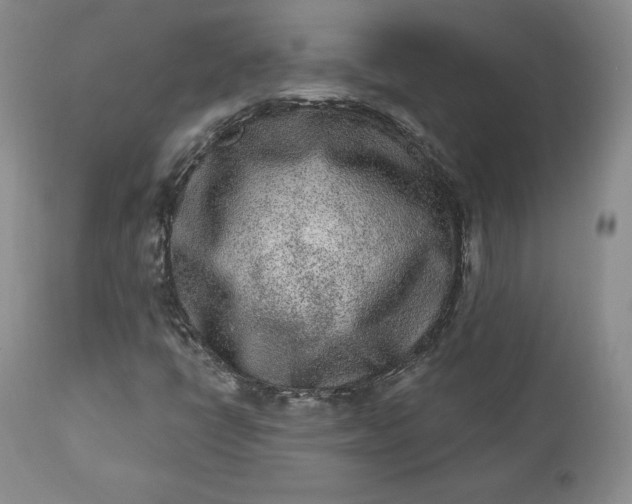 X0000112861398200909041542