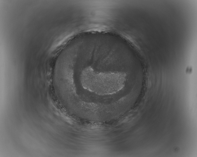 X0000112861399200909041542