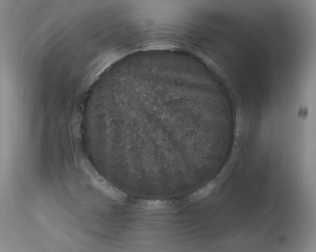 X0000112861401200909041542