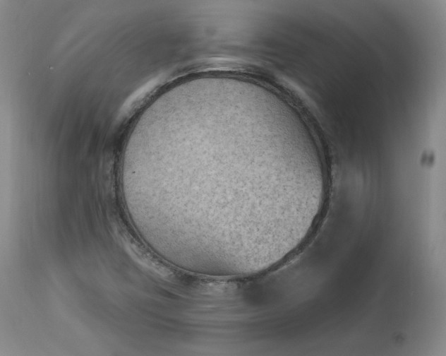 X0000112861403200909041542