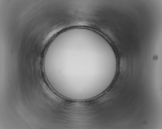X0000112861404200909041542