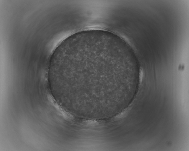 X0000112861405200909041542