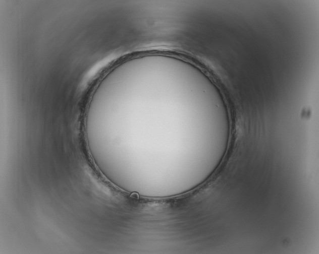 X0000112861406200909041542