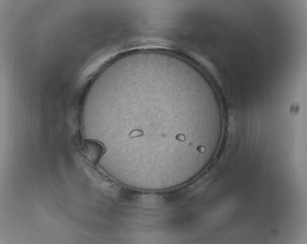 X0000112861407200909041542