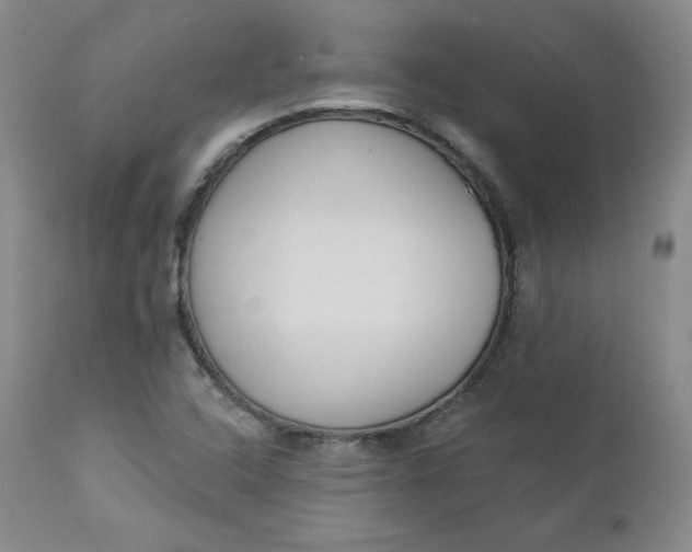 X0000112861408200909041542