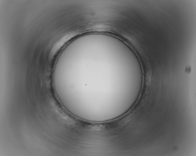 X0000112861410200909041542