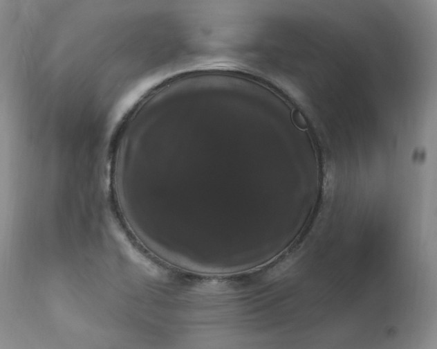 X0000112861414200909041542