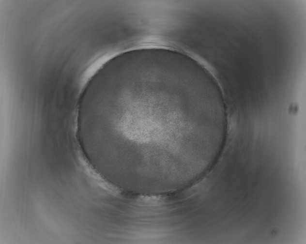 X0000112861415200909041542