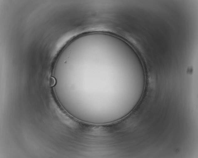 X0000112861416200909041542