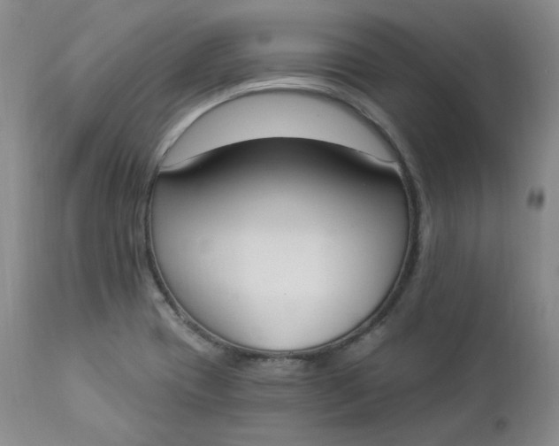 X0000112861417200909041542