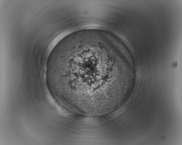 X0000112861418200909041542