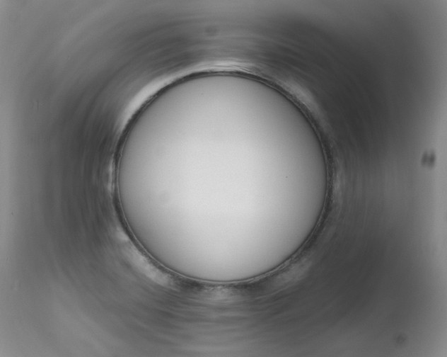 X0000112861420200909041542