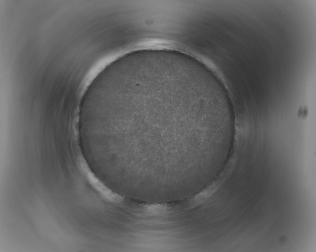 X0000112861421200909041542